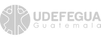 UDEFEGUA