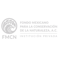 FMCN